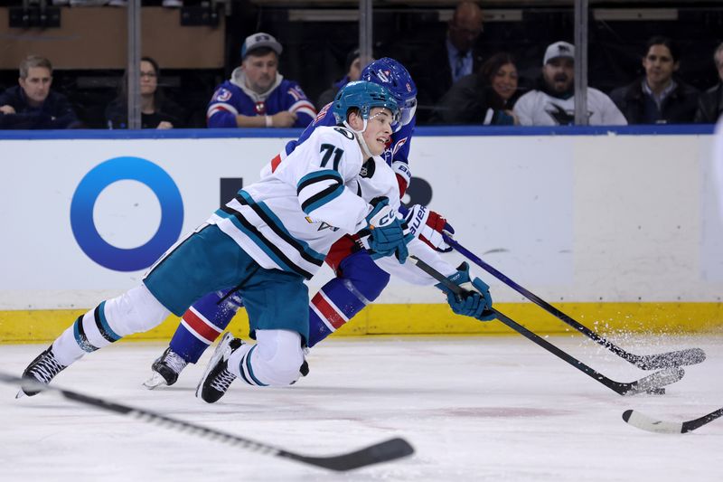 Nov 14, 2024; New York, New York, USA; San Jose Sharks center Macklin Celebrini (71) fights for the puck against New York Rangers defenseman Jacob Trouba (8) during the second period at Madison Square Garden. Mandatory Credit: Brad Penner-Imagn Images