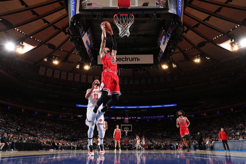 NEW YORK, NY - NOVEMBER 13: Zach LaVine #8 of the Chicago Bulls drives to the basket during the game against the New York Knicks on November 13, 2024 at Madison Square Garden in New York City, New York.  NOTE TO USER: User expressly acknowledges and agrees that, by downloading and or using this photograph, User is consenting to the terms and conditions of the Getty Images License Agreement. Mandatory Copyright Notice: Copyright 2024 NBAE  (Photo by Joe Murphy/NBAE via Getty Images)