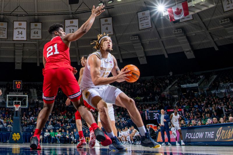 Jan 28, 2023; South Bend, Indiana, USA; Notre Dame Fighting Irish forward Dom Campbell (13) controls the ball against Louisville Cardinals forward Syndey Curry (21) in the first half at the Purcell Pavilion. Mandatory Credit: Matt Cashore-USA TODAY Sports