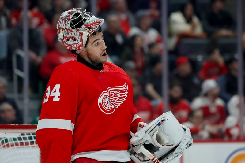 Jan 25, 2024; Detroit, Michigan, USA;  Detroit Red Wings goaltender Alex Lyon (34) looks on during a time out in the first period against the Philadelphia Flyers at Little Caesars Arena. Mandatory Credit: Rick Osentoski-USA TODAY Sports