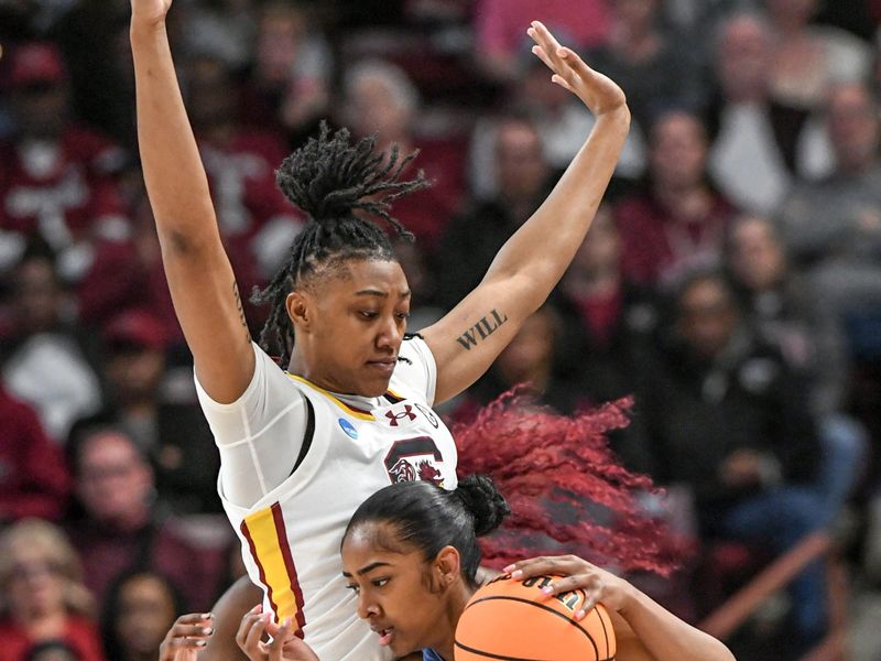 Mar 24, 2034; Columbia, So Carolina, USA; South Carolina forward Ashlyn Watkins (2) guards University of North Carolina guard Deja Kelly (25) during the first quarter of the second round NCAA Women's Basketball Tournament game at the Colonial Life Center. Mandatory Credit: Ken Ruinard-USA TODAY Sports via Greenville News