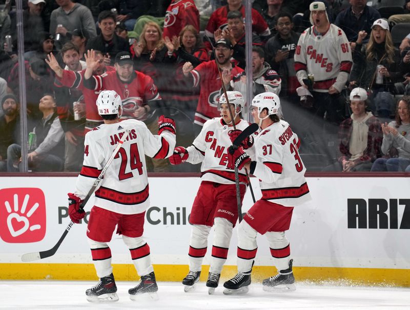 Mar 3, 2023; Tempe, Arizona, USA; Carolina Hurricanes center Sebastian Aho (20) celebrates his goal against the Arizona Coyotes during the first period at Mullett Arena. Mandatory Credit: Joe Camporeale-USA TODAY Sports