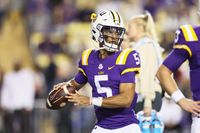 Can LSU Tigers Outshine South Carolina Gamecocks at Williams-Brice?