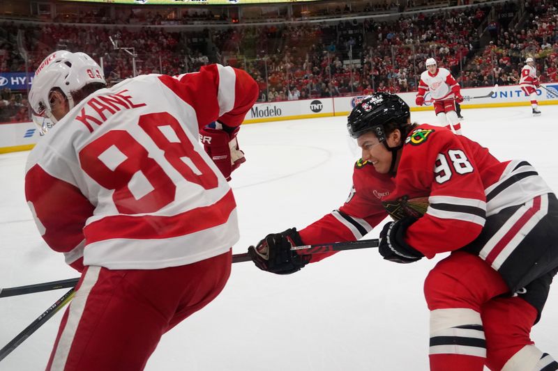 Nov 6, 2024; Chicago, Illinois, USA; Chicago Blackhawks center Connor Bedard (98) and Detroit Red Wings right wing Patrick Kane (88) go for the puck during the first period at United Center. Mandatory Credit: David Banks-Imagn Images