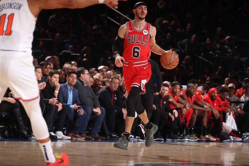 NEW YORK, NY - JANUARY 3: Alex Caruso #6 of the Chicago Bulls brings the ball up court against the New York Knicks on January 3, 2024 at Madison Square Garden in New York City, New York.  NOTE TO USER: User expressly acknowledges and agrees that, by downloading and or using this photograph, User is consenting to the terms and conditions of the Getty Images License Agreement. Mandatory Copyright Notice: Copyright 2024 NBAE  (Photo by Nathaniel S. Butler/NBAE via Getty Images)