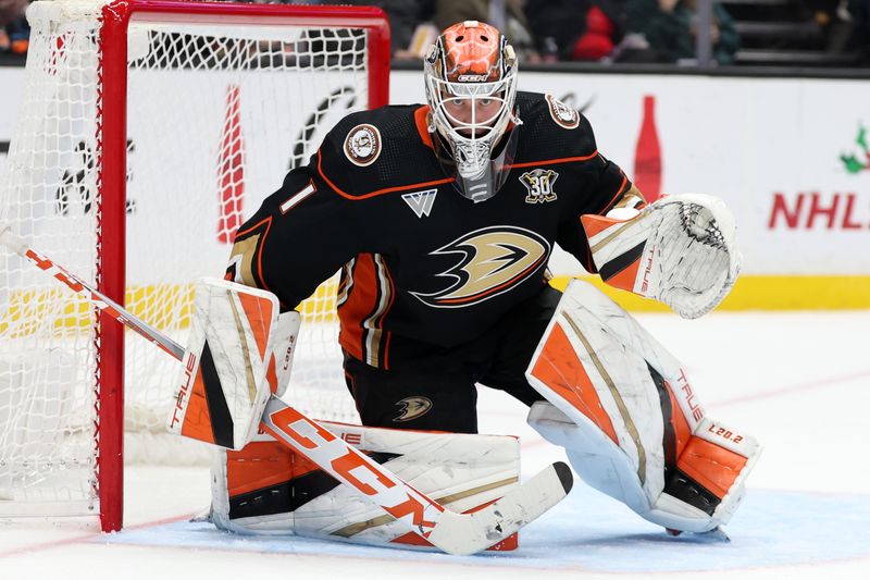 Dec 21, 2023; Anaheim, California, USA;  Anaheim Ducks goaltender Lukas Dostal (1) protects the goal during the third period against the Calgary Flames at Honda Center. Mandatory Credit: Kiyoshi Mio-USA TODAY Sports