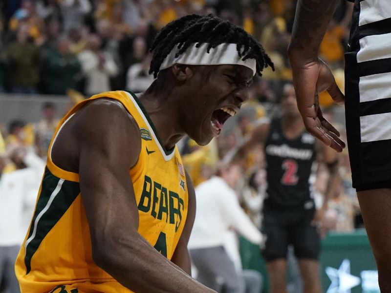 Jan 13, 2024; Waco, Texas, USA; Baylor Bears guard Ja'Kobe Walter (4) reacts after a made basket against the Cincinnati Bearcats during the second half at Paul and Alejandra Foster Pavilion. Mandatory Credit: Raymond Carlin III-USA TODAY Sports