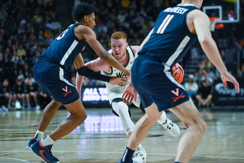 Jan 21, 2023; Winston-Salem, North Carolina, USA; Wake Forest Demon Deacons guard Cameron Hildreth (2) dribbles with Virginia Cavaliers guard Ryan Dunn (13) guarding during the first half at Lawrence Joel Veterans Memorial Coliseum. Mandatory Credit: William Howard-USA TODAY Sports