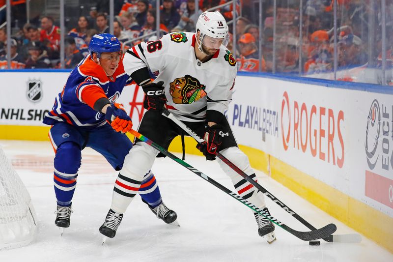 Oct 12, 2024; Edmonton, Alberta, CAN; Chicago Blackhawks forward Jason Dickinson (16) and Edmonton Oilers defensemen Travis Dermott (24) battle along the boards for a loose puck  during the second period at Rogers Place. Mandatory Credit: Perry Nelson-Imagn Images