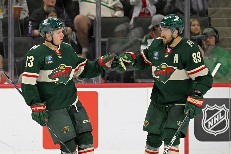 Sep 29, 2024; Saint Paul, Minnesota, USA;  Minnesota Wild forward Marco Rossi (23) celebrates his goal against the Dallas Stars with forward Frederick Gaudreau (89) during the third period at Xcel Energy Center. Mandatory Credit: Nick Wosika-Imagn Images