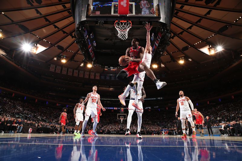 NEW YORK, NY - JANUARY 3: Terry Taylor #32 of the Chicago Bulls drives to the basket during the game against the New York Knicks on January 3, 2024 at Madison Square Garden in New York City, New York.  NOTE TO USER: User expressly acknowledges and agrees that, by downloading and or using this photograph, User is consenting to the terms and conditions of the Getty Images License Agreement. Mandatory Copyright Notice: Copyright 2024 NBAE  (Photo by Nathaniel S. Butler/NBAE via Getty Images)