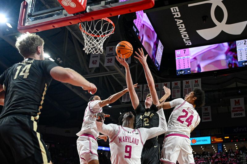 Feb 1, 2026; College Park, Maryland, USA;  Purdue Boilermakers center Daniel Jacobsen (12) rebound over Maryland Terrapins forward Solomon Washington (9) during the first half at Xfinity Center. Mandatory Credit: Tommy Gilligan-Imagn Images