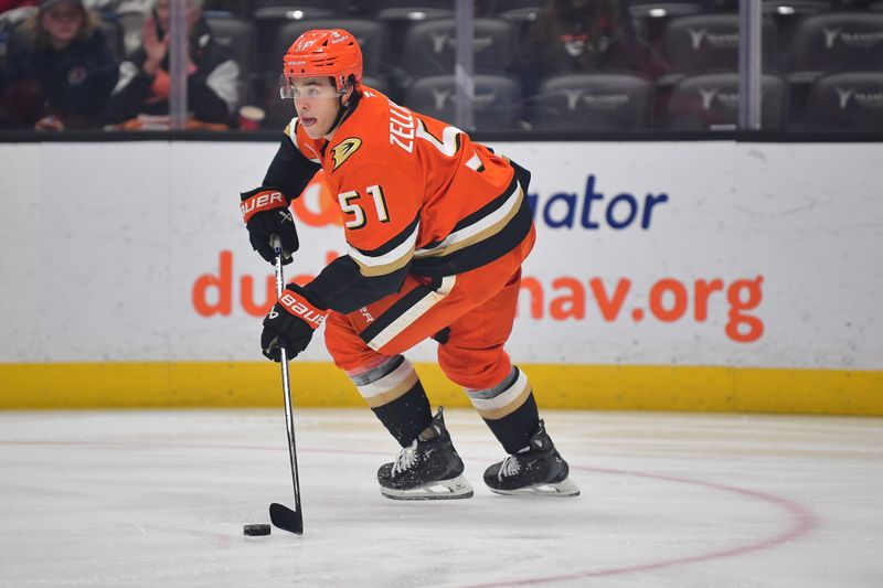 Nov 15, 2024; Anaheim, California, USA; Anaheim Ducks defenseman Olen Zellweger (51) controls the puck against the Detroit Red Wings during the first period at Honda Center. Mandatory Credit: Gary A. Vasquez-Imagn Images