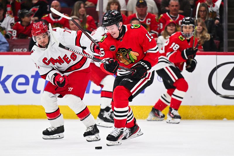 Apr 14, 2024; Chicago, Illinois, USA; Chicago Blackhawks forward Joey Anderson (15) battles for control of the puck with Carolina Hurricanes defenseman Tony DeAngelo (77) in the first period at United Center. Mandatory Credit: Jamie Sabau-USA TODAY Sports