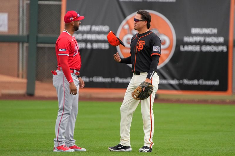 Feb 26, 2024; Scottsdale, Arizona, USA; Los Angeles Angels center fielder Aaron Hicks (12) and San Francisco Giants first baseman Wilmer Flores (41) talk before a game at Scottsdale Stadium. Mandatory Credit: Rick Scuteri-USA TODAY Sports