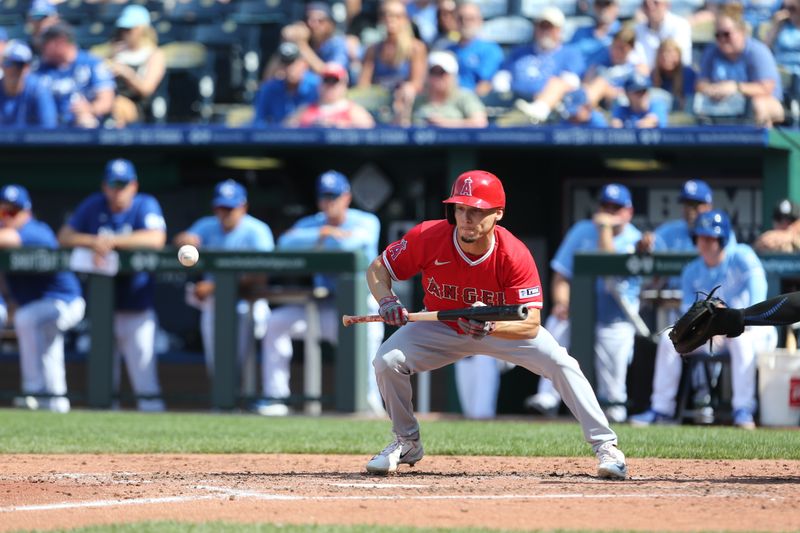 Jun 17, 2023; Kansas City, Missouri, USA; Los Angeles Angels shortstop Andrew Valezquez (4) hits a bunt during the top of the fourth inning against the Kansas City Royals at Kauffman Stadium. Mandatory Credit: Scott Sewell-USA TODAY Sports