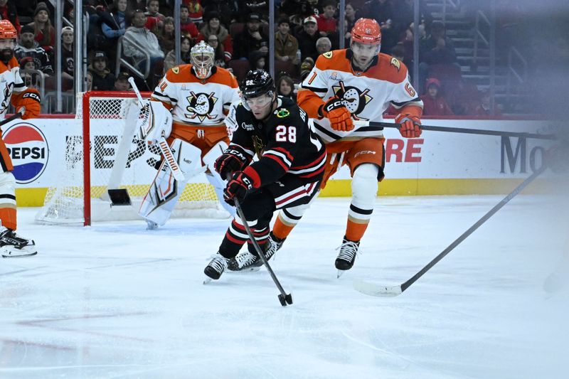 Nov 30, 2025; Chicago, Illinois, USA;  Chicago Blackhawks left wing Andre Burakovsky (28) moves the puck against Anaheim Ducks left wing Cutter Gauthier (61) during the first period at United Center. Mandatory Credit: Matt Marton-Imagn Images