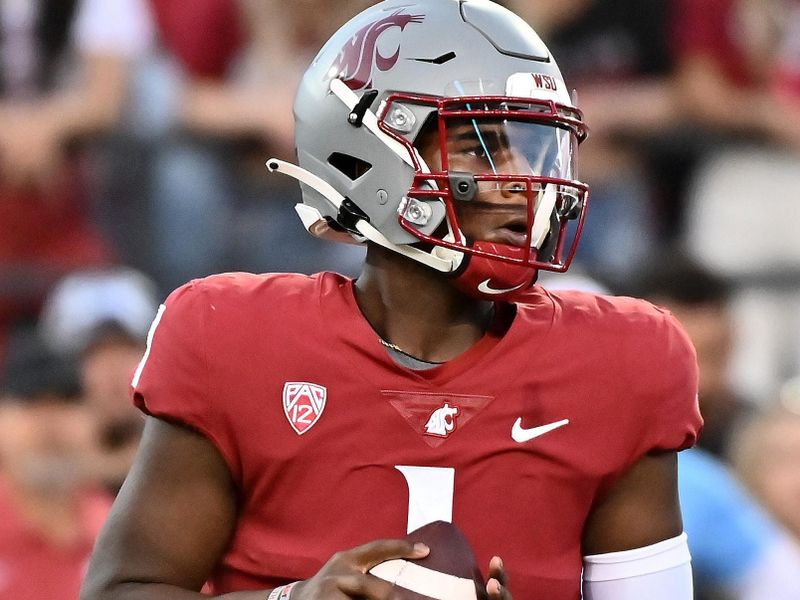 Sep 3, 2022; Pullman, Washington, USA; Washington State Cougars quarterback Cameron Ward (1) drops back for a pass against the Idaho Vandals in the first half at Gesa Field at Martin Stadium. Mandatory Credit: James Snook-USA TODAY Sports