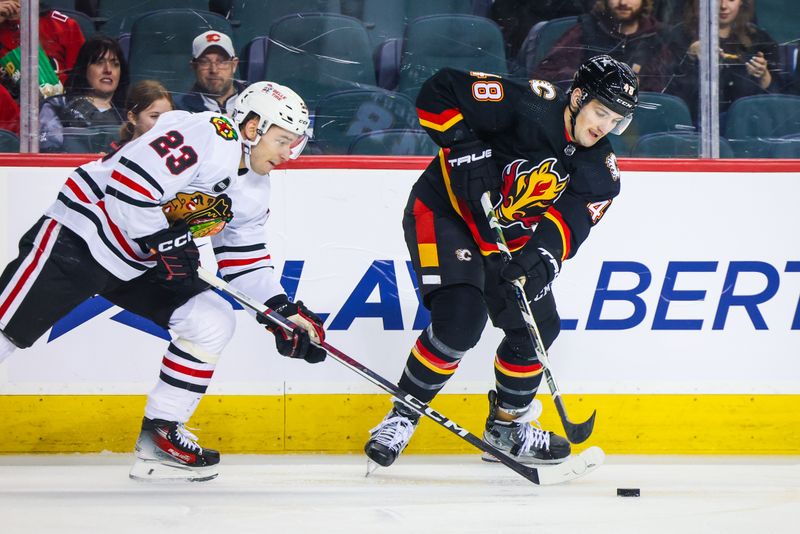 Jan 27, 2024; Calgary, Alberta, CAN; Calgary Flames defenseman Dennis Gilbert (48) and Chicago Blackhawks center Philipp Kurashev (23) battles for the puck during the second period at Scotiabank Saddledome. Mandatory Credit: Sergei Belski-USA TODAY Sports