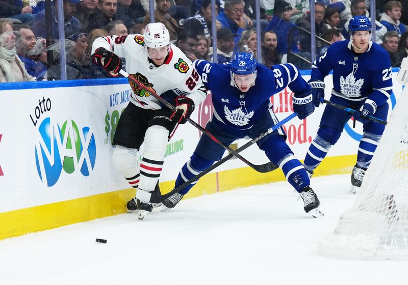 Dec 16, 2025; Toronto, Ontario, CAN; Toronto Maple Leafs defenseman Troy Stecher (28) battles for the puck with Chicago Blackhawks center Dominic Toninato (25) during the second period at Scotiabank Arena. Mandatory Credit: Nick Turchiaro-Imagn Images