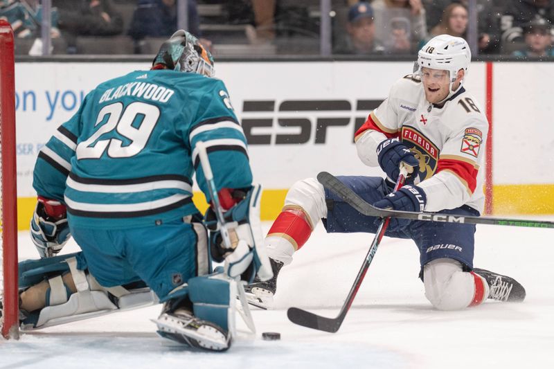 Nov 14, 2023; San Jose, California, USA; Florida Panthers center Steven Lorentz (18) attempts to score during the first period against San Jose Sharks goaltender Mackenzie Blackwood (29) at SAP Center at San Jose. Mandatory Credit: Stan Szeto-USA TODAY Sports