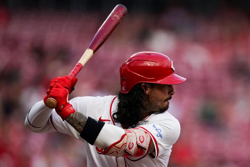 Aug 29, 2024; Cincinnati, Ohio, USA;  Cincinnati Reds second base Jonathan India (6) prepares to bat during the first inning of the MLB game between the Cincinnati Reds and Oakland Athletics, Thursday, Aug. 29, 2024, at Cintas Center in Cincinnati. Mandatory Credit: Frank Bowen IV/The Cincinnati Enquirer-USA TODAY Sports