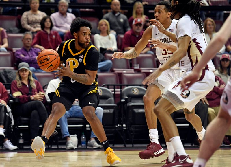 Feb 11, 2023; Tallahassee, Florida, USA; Pittsburgh Panthers guard Nelly Cummings (0) looks to pass during the first half against the Florida State Seminoles at Donald L. Tucker Center. Mandatory Credit: Melina Myers-USA TODAY Sports