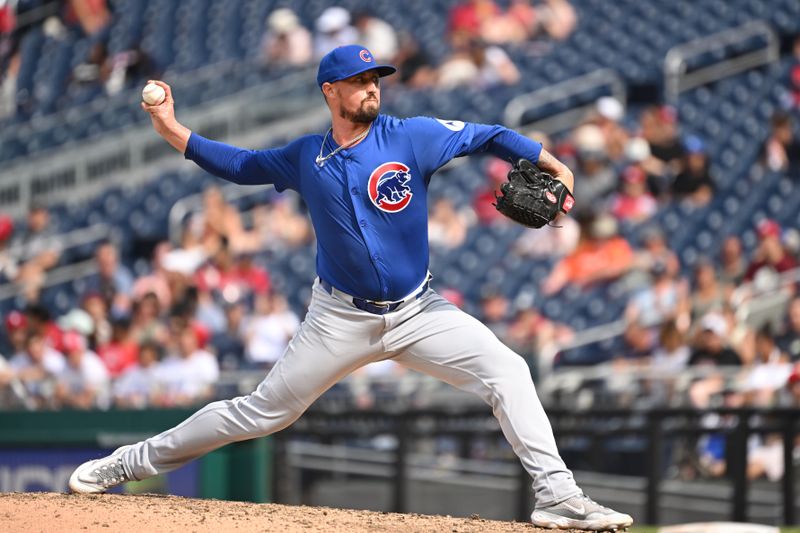 Sep 1, 2024; Washington, District of Columbia, USA; Chicago Cubs relief pitcher Shawn Armstrong (64) throws a pitch against the Washington Nationals during the eighth inning at Nationals Park. Mandatory Credit: Rafael Suanes-USA TODAY Sports