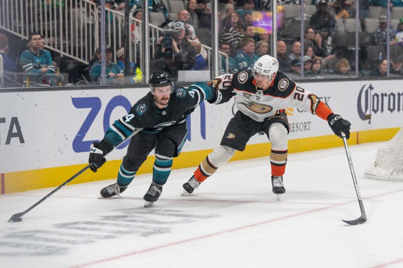 Feb 29, 2024; San Jose, California, USA; San Jose Sharks defenseman Kyle Burroughs (4) controls the puck away from Anaheim Ducks right wing Brett Leason (20) during the third period at SAP Center at San Jose. Mandatory Credit: Stan Szeto-USA TODAY Sports