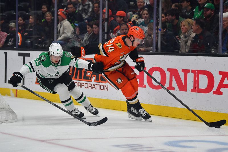 Jan 13, 2026; Anaheim, California, USA; Anaheim Ducks defenseman Drew Helleson (14) moves the puck ahead of Dallas Stars center Justin Hryckowian (49) during the first period at Honda Center. Mandatory Credit: Gary A. Vasquez-Imagn Images