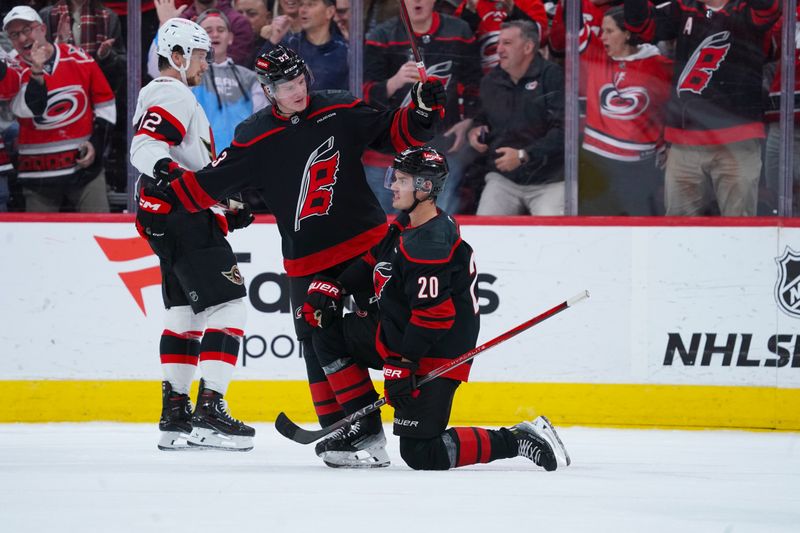 Nov 16, 2024; Raleigh, North Carolina, USA;  Carolina Hurricanes center Sebastian Aho (20) celebrates his goal with right wing Jackson Blake (53) against the Ottawa Senators during the second period at Lenovo Center. Mandatory Credit: James Guillory-Imagn Images