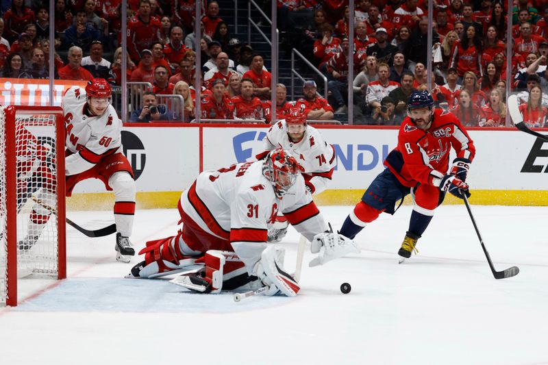 May 15, 2025; Washington, District of Columbia, USA; Carolina Hurricanes goaltender Frederik Andersen (31) covers the puck after making a save in front of Washington Capitals left wing Alex Ovechkin (8) in the third period in game five of the second round of the 2025 Stanley Cup Playoffs at Capital One Arena. Mandatory Credit: Geoff Burke-Imagn Images
