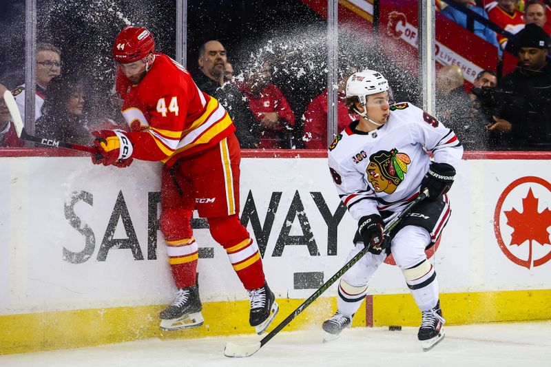 Nov 7, 2025; Calgary, Alberta, CAN; Chicago Blackhawks center Connor Bedard (98) and Calgary Flames defenseman Joel Hanley (44) battles for the puck during the first period at Scotiabank Saddledome. Mandatory Credit: Sergei Belski-Imagn Images