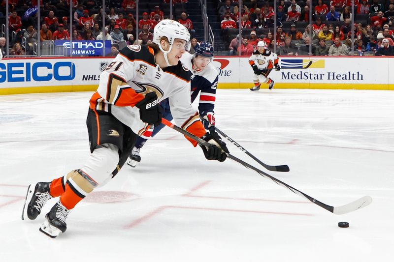 Jan 16, 2024; Washington, District of Columbia, USA; Anaheim Ducks center Leo Carlsson (91) skates with the puck as Washington Capitals center Connor McMichael (24) chases in the first period at Capital One Arena. Mandatory Credit: Geoff Burke-USA TODAY Sports