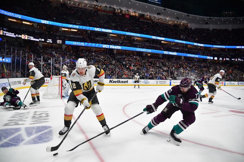 Dec 27, 2023; Anaheim, California, USA; Anaheim Ducks left wing Alex Killorn (17) plays for the puck against Vegas Golden Knights defenseman Zach Whitecloud (2) during the third period at Honda Center. Mandatory Credit: Gary A. Vasquez-USA TODAY Sports