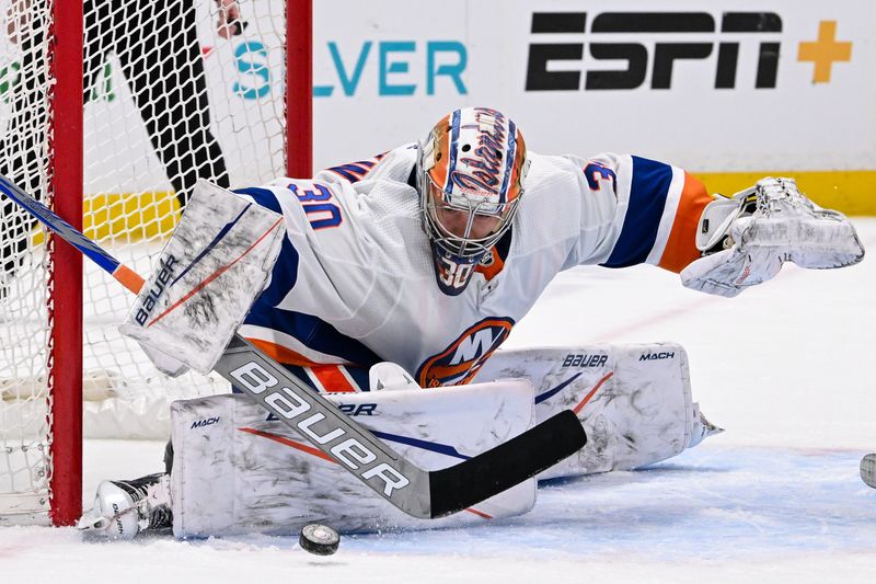 Mar 19, 2024; Elmont, New York, USA; New York Islanders goaltender Ilya Sorokin (30) makes a save against the Carolina Hurricanes during the first period at UBS Arena. Mandatory Credit: Dennis Schneidler-USA TODAY Sports