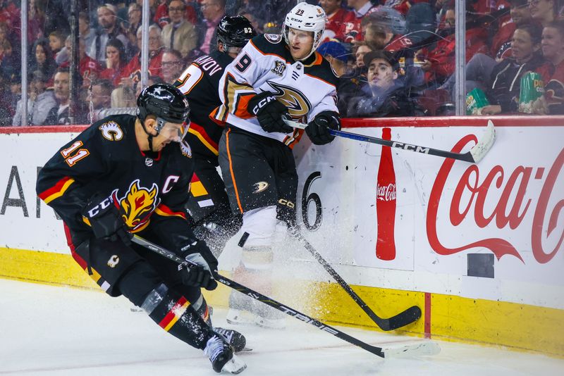 Apr 2, 2024; Calgary, Alberta, CAN; Anaheim Ducks center Ben Meyers (39) and Calgary Flames defenseman Daniil Miromanov (62) battles for the puck during the second period at Scotiabank Saddledome. Mandatory Credit: Sergei Belski-USA TODAY Sports