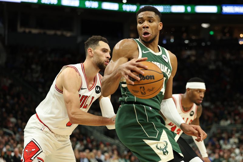 MILWAUKEE, WISCONSIN - NOVEMBER 20: Giannis Antetokounmpo #34 of the Milwaukee Bucks is defended by Zach LaVine #8 of the Chicago Bulls during the second half of a game at Fiserv Forum on November 20, 2024 in Milwaukee, Wisconsin. NOTE TO USER: User expressly acknowledges and agrees that, by downloading and or using this photograph, User is consenting to the terms and conditions of the Getty Images License Agreement. (Photo by Stacy Revere/Getty Images)