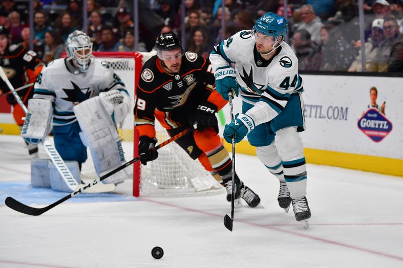 Jan 31, 2024; Anaheim, California, USA; San Jose Sharks defenseman Marc-Edouard Vlasic (44) moves the puck ahead of Anaheim Ducks right wing Troy Terry (19) during the second period at Honda Center. Mandatory Credit: Gary A. Vasquez-USA TODAY Sports