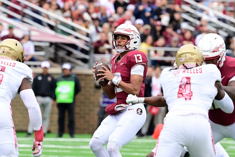 Sep 16, 2023; Chestnut Hill, Massachusetts, USA; Florida State Seminoles quarterback Jordan Travis (13) looks to pass during the first half against the Boston College Eagles at Alumni Stadium. Mandatory Credit: Eric Canha-USA TODAY Sports