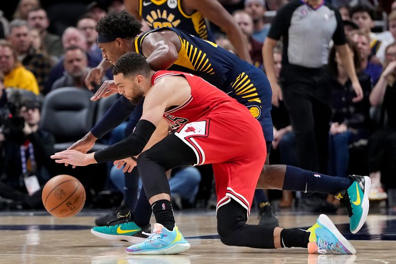 INDIANAPOLIS, INDIANA - JANUARY 24: Zach LaVine #8 of the Chicago Bulls and Buddy Hield #24 of the Indiana Pacers battle for a loose ball in the fourth quarter of the game at Gainbridge Fieldhouse on January 24, 2023 in Indianapolis, Indiana. NOTE TO USER: User expressly acknowledges and agrees that, by downloading and or using this photograph, User is consenting to the terms and conditions of the Getty Images License Agreement. (Photo by Dylan Buell/Getty Images)