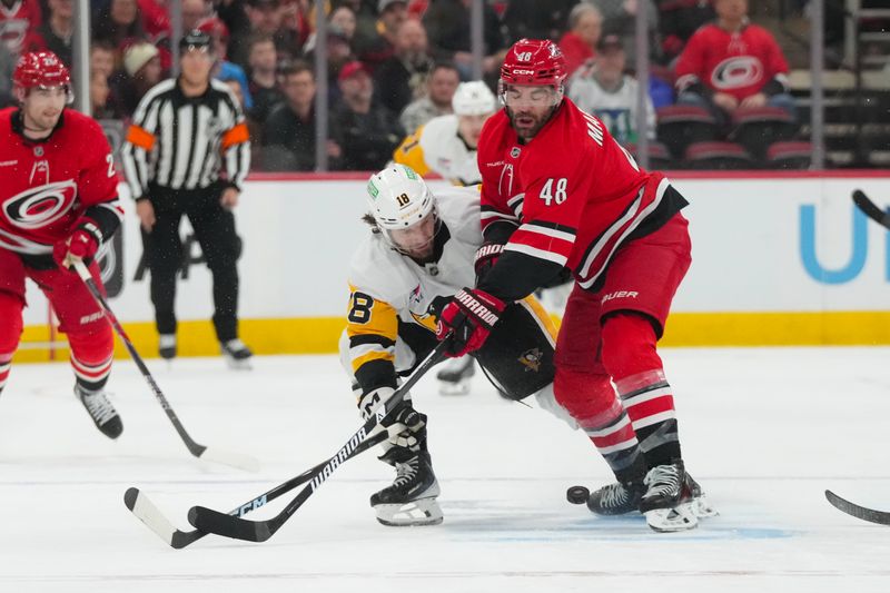 Mar 18, 2026; Raleigh, North Carolina, USA;  Carolina Hurricanes left wing Jordan Martinook (48) and Pittsburgh Penguins center Tommy Novak (18) battle over the puck during the second period at Lenovo Center. Mandatory Credit: James Guillory-Imagn Images