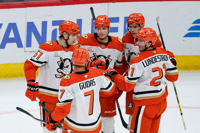 Nov 19, 2024; Chicago, Illinois, USA; Anaheim Ducks defenseman Pavel Mintyukov (34) celebrates with teammates after scoring against the Chicago Blackhawks during the first period at United Center. Mandatory Credit: Kamil Krzaczynski-Imagn Images