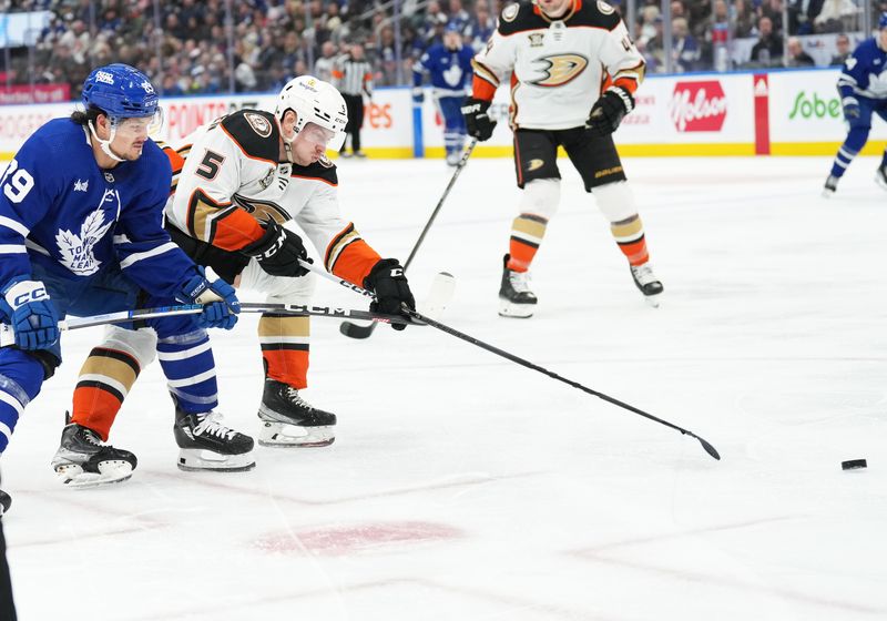 Feb 17, 2024; Toronto, Ontario, CAN; Toronto Maple Leafs left wing Nicholas Robertson (89) battles for the puck with Anaheim Ducks defenseman Urho Vaakanainen (5) during the third period at Scotiabank Arena. Mandatory Credit: Nick Turchiaro-USA TODAY Sports