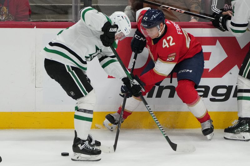 Dec 6, 2023; Sunrise, Florida, USA; Florida Panthers defenseman Gustav Forsling (42) and Dallas Stars center Sam Steel (18) battle for a loose puck during the third period at Amerant Bank Arena. Mandatory Credit: Jim Rassol-USA TODAY Sports