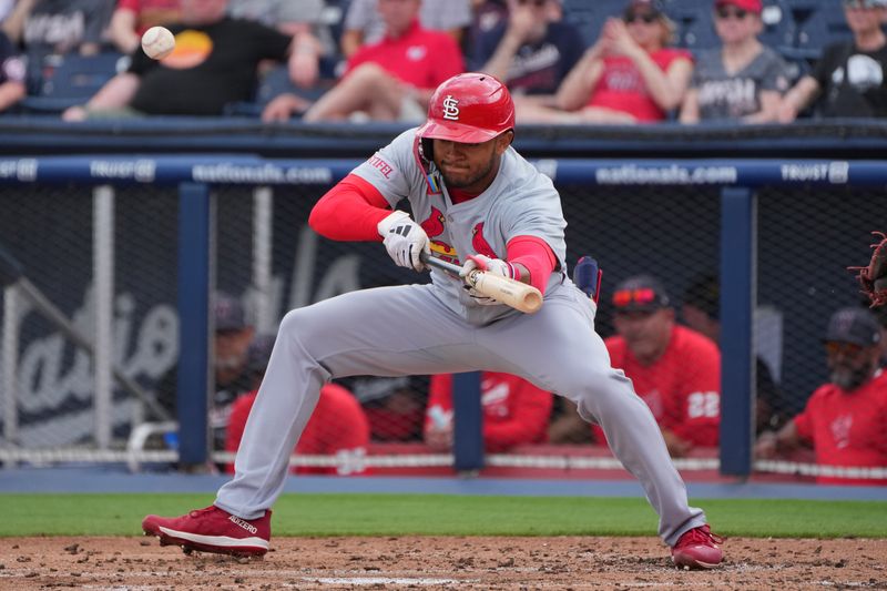 Mar 4, 2024; West Palm Beach, Florida, USA; St. Louis Cardinals outfielder Victor Scott II lays down a bunt in the third inning against the Washington Nationals at CACTI Ballpark of the Palm Beaches. Mandatory Credit: Jim Rassol-USA TODAY Sports