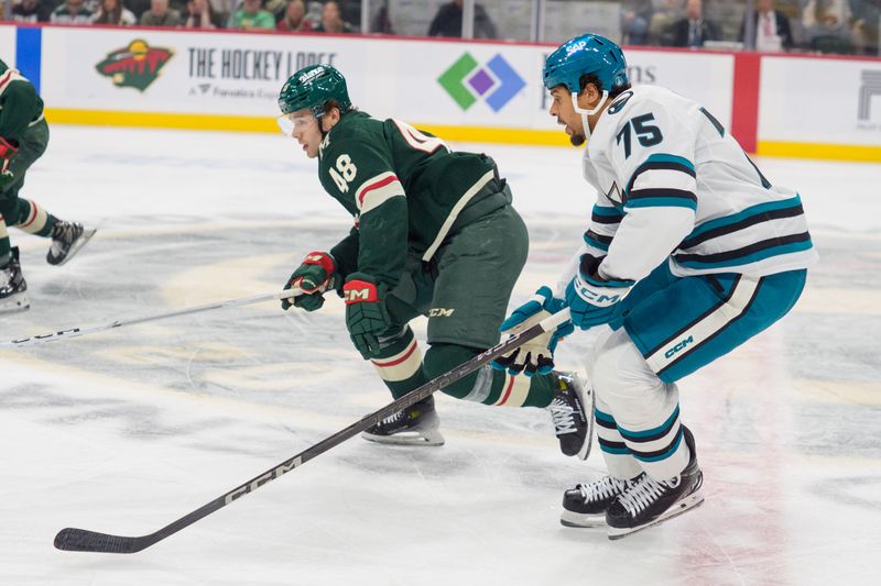 Nov 11, 2025; Saint Paul, Minnesota, USA; San Jose Sharks right wing Ryan Reaves (75) and Minnesota Wild defenseman Daemon Hunt (48) skate after the puck in the first period at Grand Casino Arena. Mandatory Credit: Matt Blewett-Imagn Images
