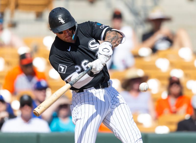 Mar 2, 2026; Phoenix, Arizona, USA; Chicago White Sox catcher Korey Lee against the San Francisco Giants during a spring training game at Camelback Ranch-Glendale. Mandatory Credit: Mark J. Rebilas-Imagn Images