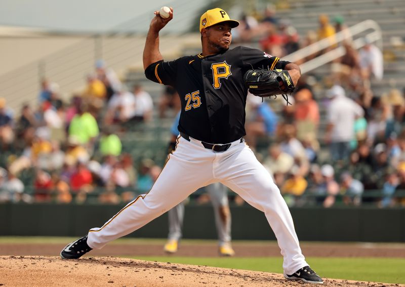 Mar 1, 2024; Bradenton, Florida, USA; Pittsburgh Pirates pitcher Wily Peralta (25)  throws a pitch during the third inning against the Tampa Bay Rays at LECOM Park. Mandatory Credit: Kim Klement Neitzel-USA TODAY Sports