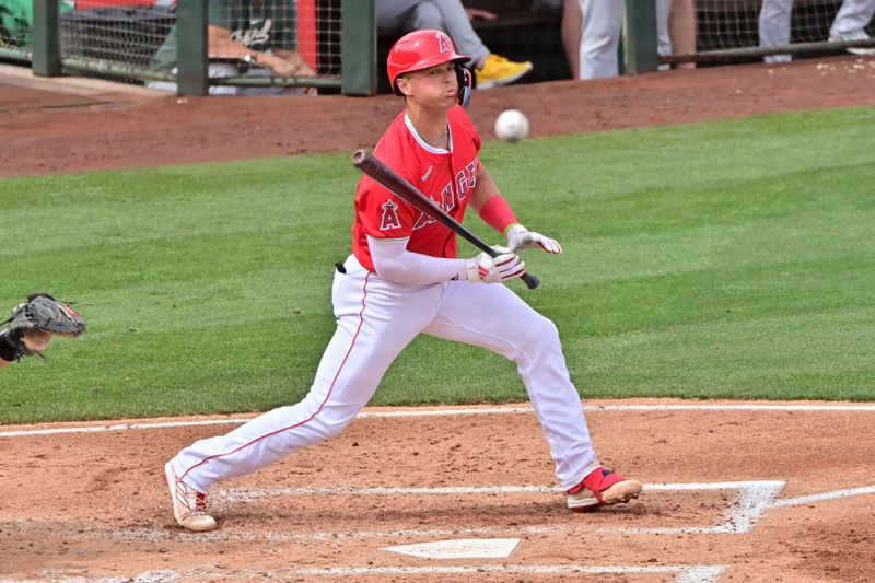 Mar 6, 2024; Tempe, Arizona, USA;  Los Angeles Angels catcher Logan O'Hoppe (14) hits a foul ball in the second inning against the Oakland Athletics during a spring training game at Tempe Diablo Stadium. Mandatory Credit: Matt Kartozian-USA TODAY Sports